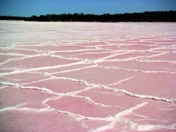 Lago Rosa Australia