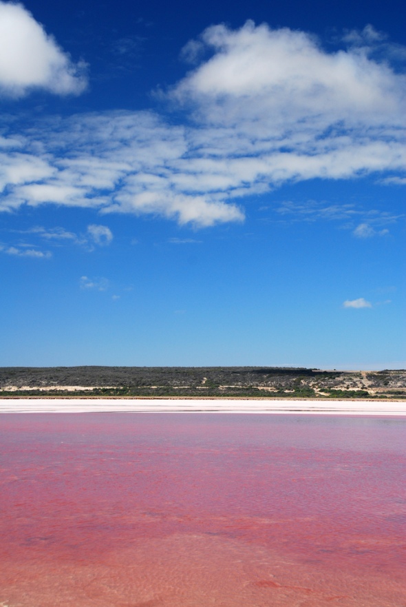 Lago Rosa Hilier. Australia